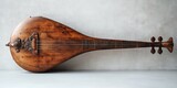 Antique lute string instrument displayed on white surface