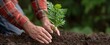 © ckybe - man planting a young tree sapling in soil to support reforestation initiatives