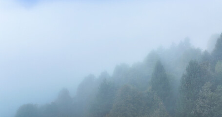 Naklejka na meble AERIAL: Dreary drone point of view of the dark deciduous tree forest enshrouded in fog on a cold day in November. Clouds, fog and darkness gather over the verdant woods of the Slovenian countryside.