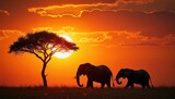 Two elephants walk on African savanna at sunset. Acacia tree silhouette against bright orange sky with clouds. Warm golden light illuminates wild landscape, majestic animals roam.