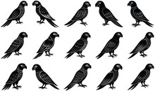 Group Of Birds Drawing Free Stock Photo Public Domain Pictures