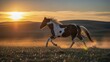 © aqiio - Spotted equine animal gallops across sunlit grassy terrain during twilight hours