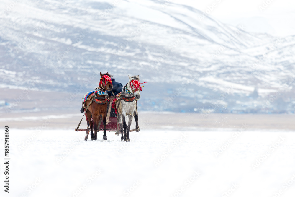 A scenic winter view of traditional horse-drawn sleighs traveling across the thick ice of frozen Lake Cildir. A popular tourist activity in Kars, Turkey, during the cold winter season.