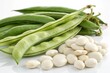 © shahjalal - Fresh white beans isolated on a green background, showcasing organic legumes, healthy nutrition, raw farm produce, macro closeup, ideal for vegetarian, vegan, and cooking ingredient concepts.