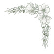 © Kaka - Elegant botanical corner design featuring magnolia and olive branches in neutral sage green isolated on white background