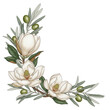 © Kaka - Elegant botanical corner design featuring magnolia and olive branches in neutral sage green isolated on white background