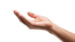 © Natasha - Isolated hand outstretched, open palm facing upward in a gesture of offering or presentation