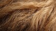 © Rauf - Macro texture of dry, frizzy blonde hair, ideal for beauty tutorials or before-treatment visuals.