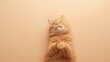 © pngking - Close-up of a cat's paw with fluffy fur on a beige background, highlighting pet care and grooming, National Pet Care Week