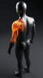 © Tinttrex - 3D rendering of human anatomy showing pain or inflammation in the right shoulder and arm muscles.