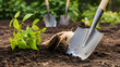 © MistoGraphy - A shovel planting a small tree in the ground with other gardening tools in the background outdoors