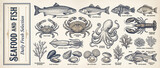 Engraved collection celebrating fresh seafood delights with elegant illustrations of ocean treasures
