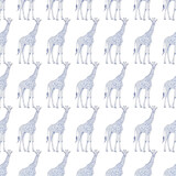Vibrant blue giraffe pattern on white background for design