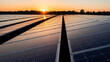 © Chainarong - A large field of solar panels stretches into the distance with sunset