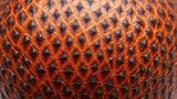 Intricate close-up of exotic salak fruit skin showcasing its unique textured scales and natural