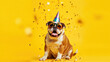 © BloomPix - Happy bulldog wearing party hat and sunglasses with falling confetti on yellow background