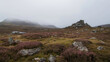 © siraphol - Misty rocky highland moor with purple heather and scattered boulders under overcast sky