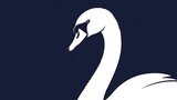 White swan profile on dark blue background.