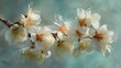 © John - A delicate, painterly image of white blossoms in full bloom against an ethereal, turquoise backdrop