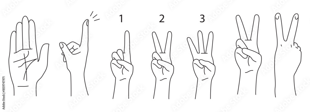 Finger Method Month Illustrative depiction of various hand gestures and finger counting ...