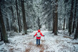 © Soloviova Liudmyla - Lonely woman dressed in bright red waterproof jacket with backpack and trekking poles, walking through high spruce snow-covered forest while descending after climbing Minchol summit 1364m, Mala Fatra.