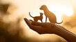 © Kanomaoi - Silhouetted cat and dog standing on open human hands during a golden sunset