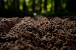 © Volodymyr - Fertile farm soil background. Humus and clay. Cultivated ground in rural farm field. Freshly plowed earth. Organic compost mixed into farm soil. Fertile soil. Groundwork and soil for cultivation.
