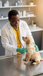 © Milan - Vertical photo of a smiling Black male veterinarian examining a golden retriever puppy with a stethoscope. Professional vet in a clinic. Pet healthcare and animal wellness concept