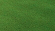 © RocknRoller Studios - Green grass texture background. A perfectly manicured Sports field / Pitch / Garden Lawn wallpaper.