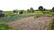 © Laura - Allotment garden end of season with empty field.Growing plants, bushes and trees, agricultural, ecological, off-grid, self-sufficient, nature and sustainable living.