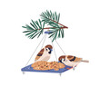 © Good Studio - Sparrows pecking grains, seeds from bird feeder, tray, feeding platform. Food station hanging on winter fir branch, birdfeeder board with cereals. Flat vector illustration isolated on white background