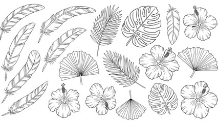 Naklejka na meble Collection of hand drawn tropical leaves and flowers in black and