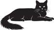 © Rulia - Black cat lying down with white eyes