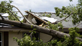 Tree falls on a house roof during storm concept. Severe storm damage to a house with fallen tree and roof destruction.