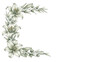 © Ahmad - Delicate elegant watercolor corner frame featuring lilies and olive branches in neutral sage green isolated on white background