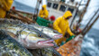 © Maksym - Close-up of freshly caught fish lying on wet boat deck, scales glistening with water, fishermen in yellow rain gear working in the background, overcast sky and sea spray, dynamic c