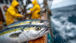 © Maksym - Close-up of freshly caught fish lying on wet boat deck, scales glistening with water, fishermen in yellow rain gear working in the background, overcast sky and sea spray, dynamic c