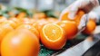 © Johannes - busy workers sorting and packaging juicy oranges in a bustling fruit processing facility colorful crates filled with ripe fruits dynamic composition capturing the essence of a productive day at work