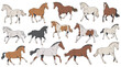 © Vision by Alamin - Dynamic Illustrations of Various Horse Breeds in Action - Animal Art Collection
