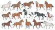 © Vision by Alamin - Collection of Various Horse Breeds and Poses in Diverse Colors and Styles