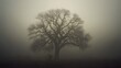 © Kanika Graphic - Majestic Tree in Foggy Landscape Under Mysterious Atmosphere
