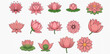 © MuammarAuliyan - Set of various pink lotus flower illustrations with different shapes and stages of bloom.