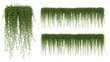 © PikseaLab - Hanging green plants collection