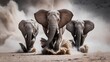 © ABUDARDA - Three elephants charging through dust in a savanna landscape