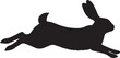 © Mst Raosonara - Leaping rabbit silhouette
