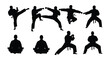 © Nayem - Silhouettes of martial artists demonstrating various fighting stances and techniques