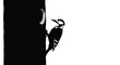 © Power Clipart - A dramatic black and white illustration of a great spotted woodpecker on the side of a tree trunk with a crescent moon shape visible.