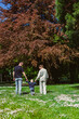 © DSMT - Family walks in a green park with flowers on the ground under a large tree during daytime in spring season