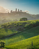 San Gimignano Towers and Vineyards at Sunset, Tuscany, Italy