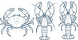 © MstMukta - Hand drawn crab and lobster outline vector illustration set showing marine crustaceans from multiple views